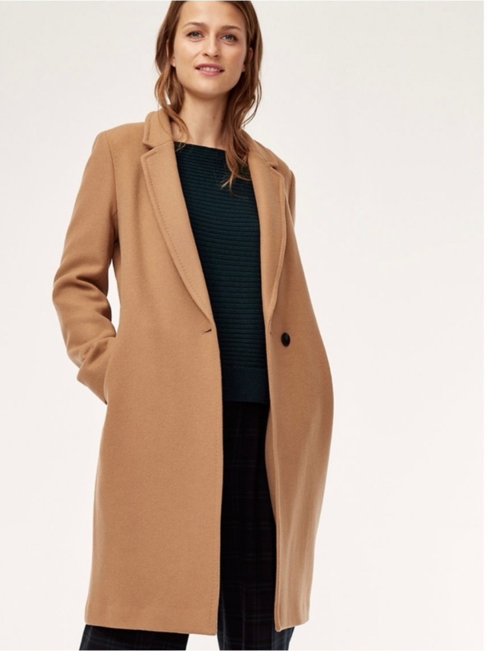 Aritzia stedman coat